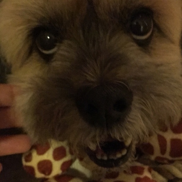 Meet your Posher, Eunice - Picture 1 of 1